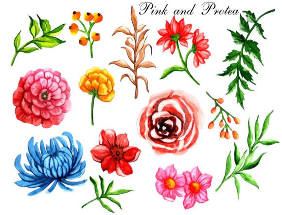 Download Watercolor Floral Elements Pink Protea - Premium Bundle