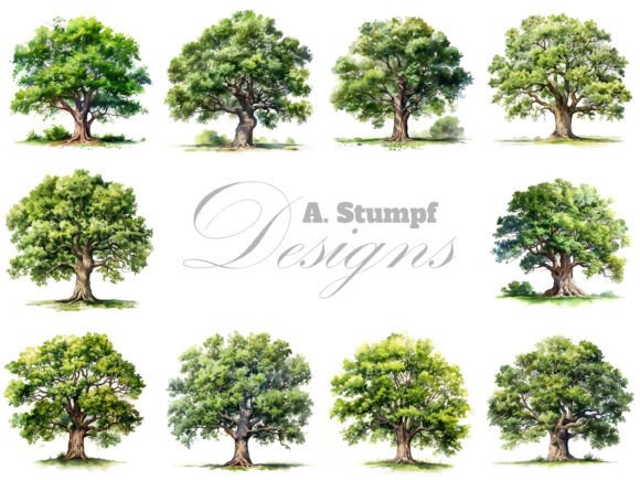 Download Oak Tree Watercolor Clipart Set - Watercolor clipart set Collection